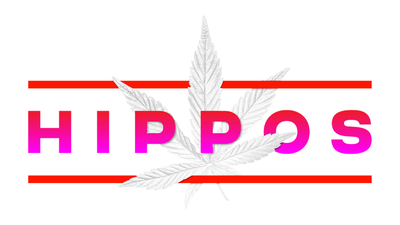 Women’s T-Shirt - Blue - Size S