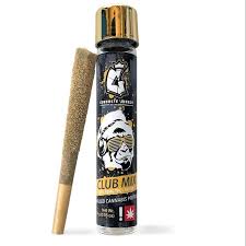 BLOCKBUSTER - INFUSED PREROLL - 1G - INDICA - GIRL SCOUT COOKIES x BISCOTTI