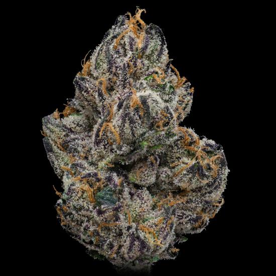 Lemon Custard [DOH] - by DNA Gardens