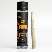 Mango Sherbet
