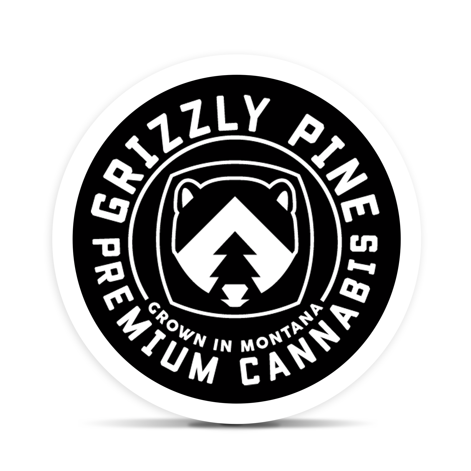 Grizzly Pine