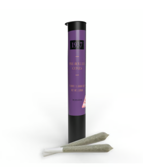 1937 | Rain Drops - Pre-Roll 2pk
