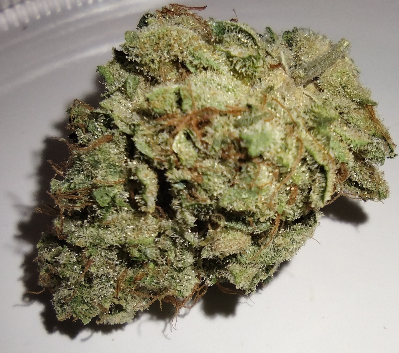 Dakota Natural Growers - Sour Saunders x Zchem - 3.5g - Flower
