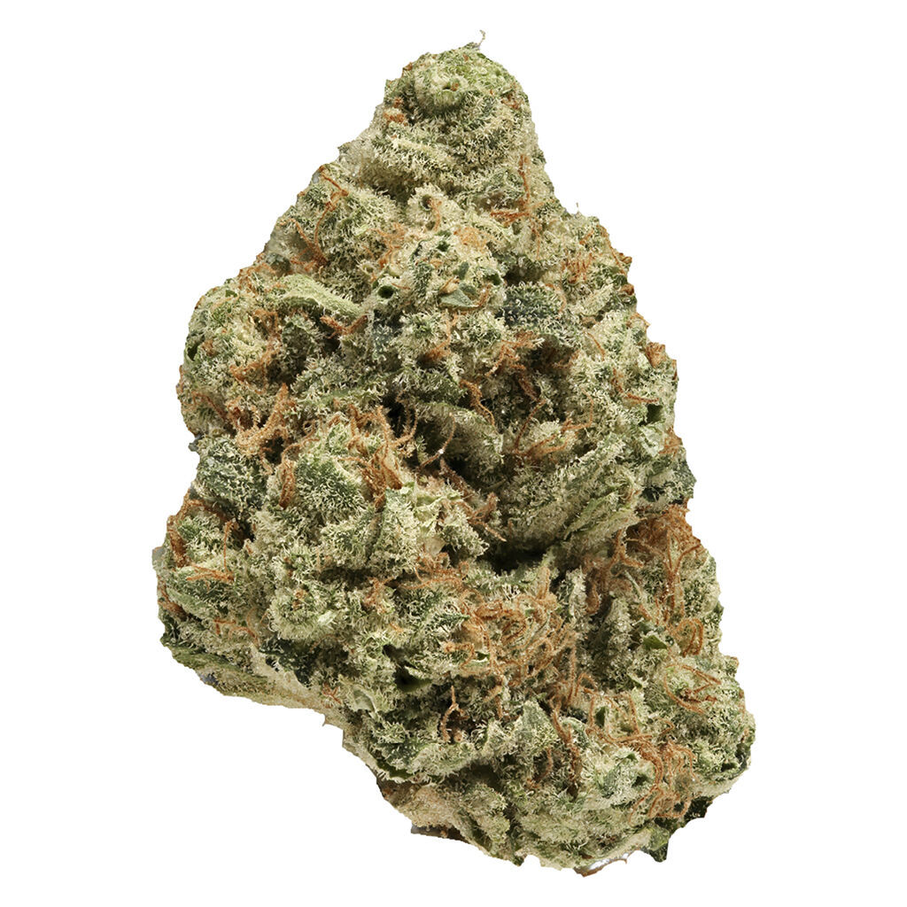 Versus - SKYWLKR OG - Indica