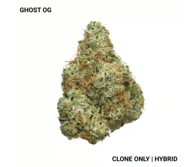 Ghost Og