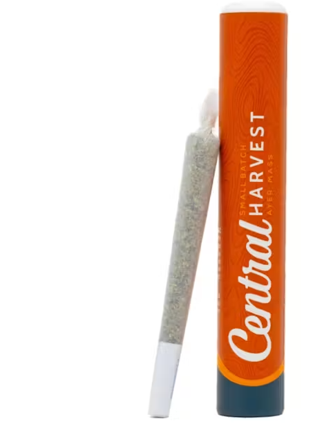 Gilz Nilz Preroll | 1g