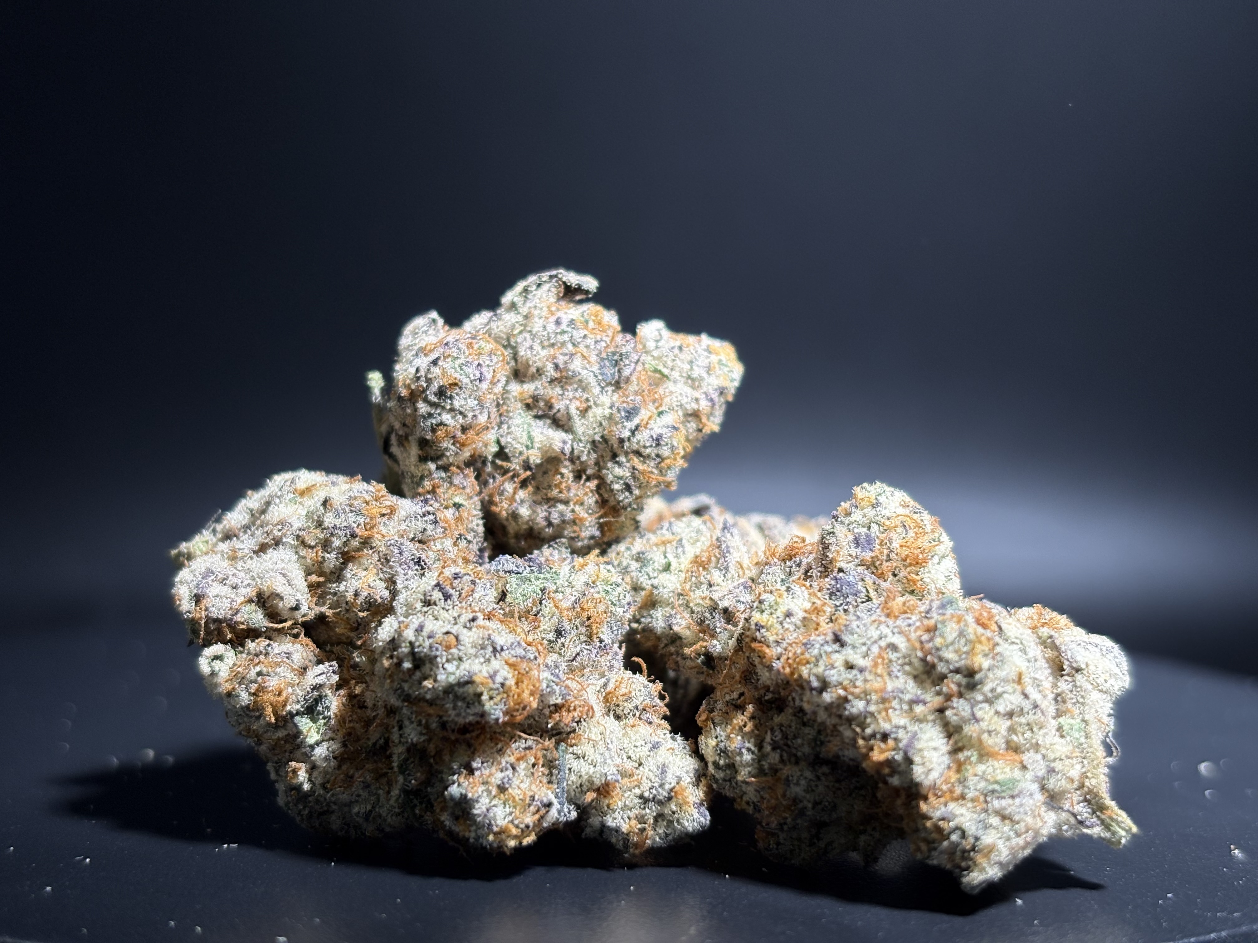 Flower - Bulk - Money Maker