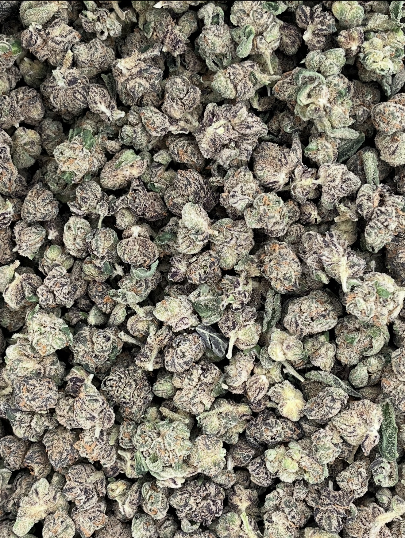 Coco Chanel Smalls | Bulk Flower