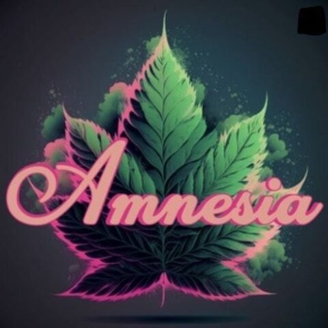 Amnesia - 1g Disposable - Banana Split