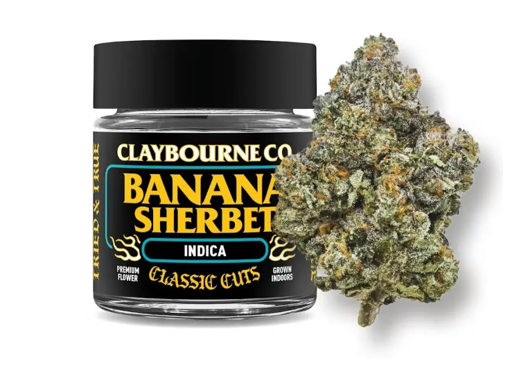 Claybourne Co | Banana Sherbet | Classic Cuts | Large Bud Indoor Flower
