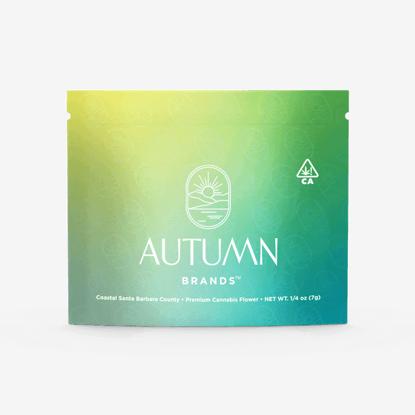 Autumn Brands — Blueberry Pancakes