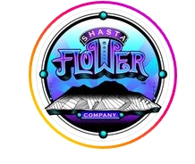 Canal Street Runtz Indoor