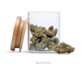 The Outpost - Zeba Love Juice (Buds)