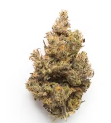 (2) Corner Store: Key Lime Pie (H)