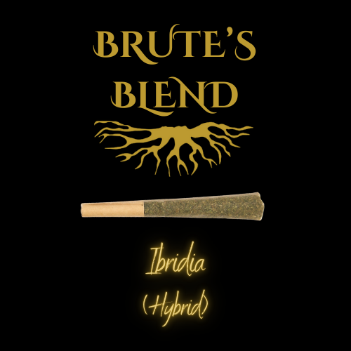 Single PreRoll - Brute's Blend Hybrid - Brute's Roots - REC