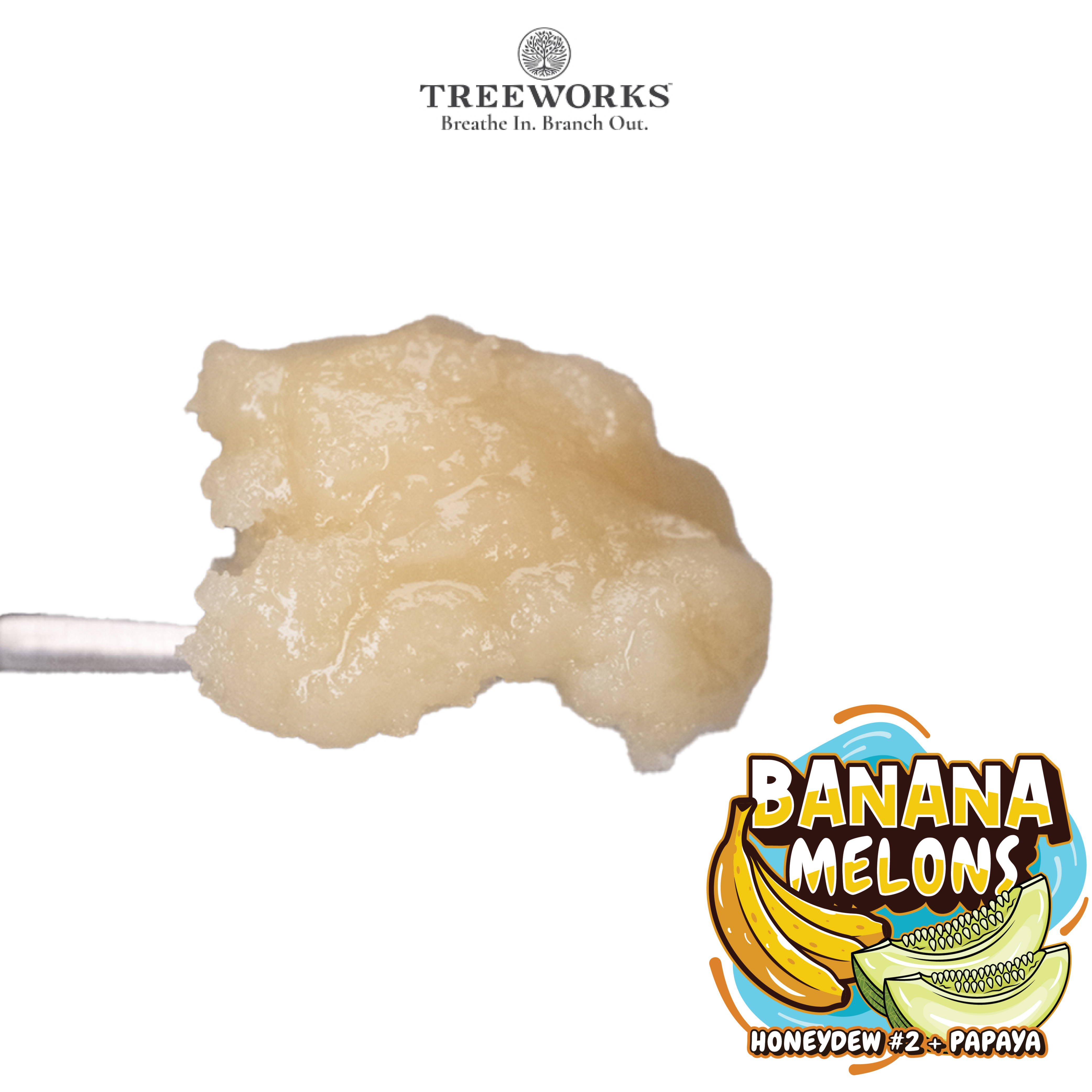 Banana Melons | Live Rosin | 1g product photo