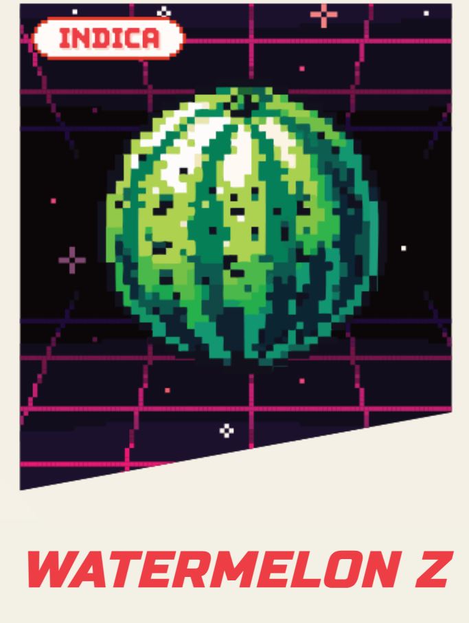 Fuzzies — Destination - Watermelon Z