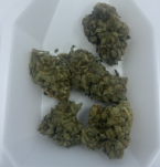 Midsouth Extract | 7g | Mando