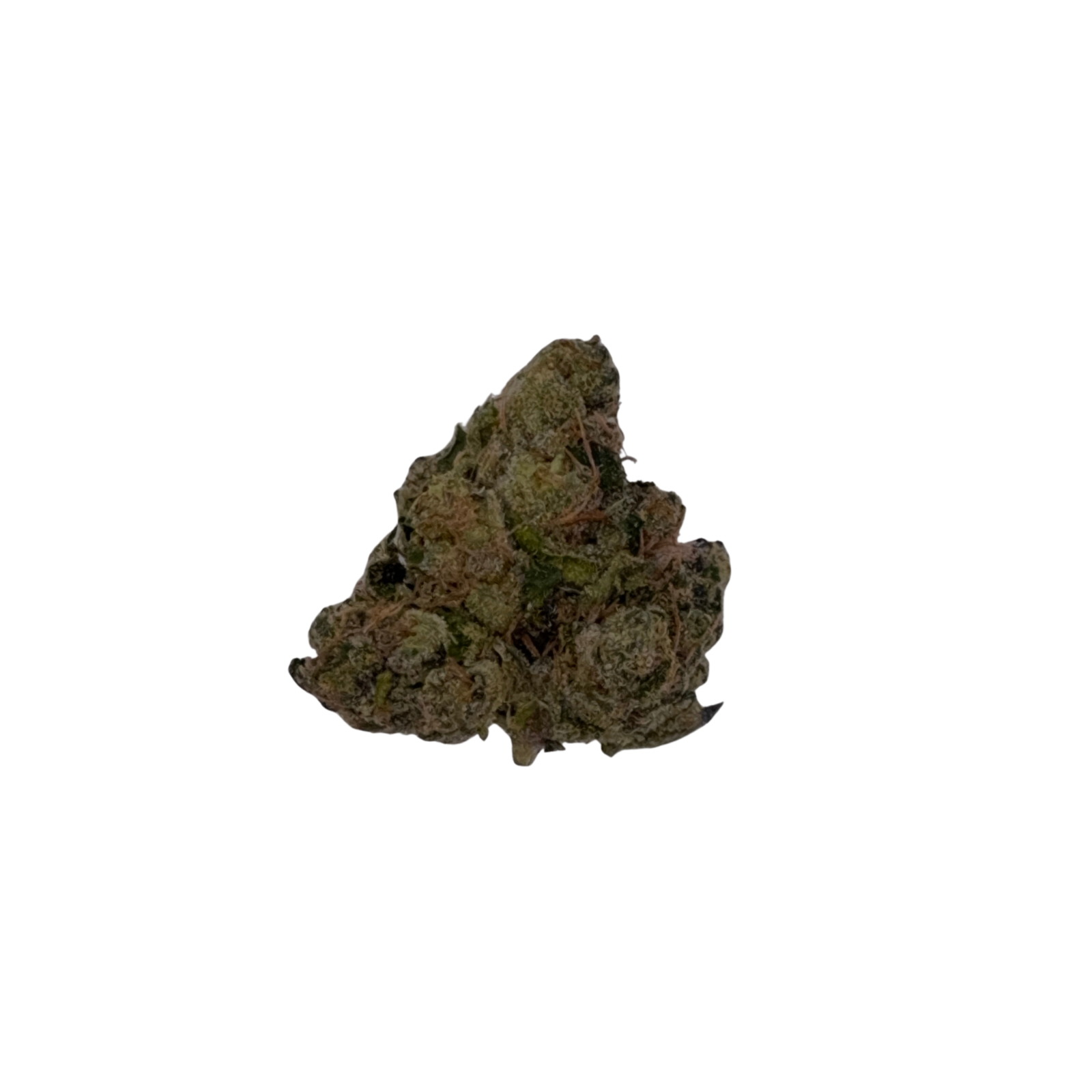 Lemon Cherry Bx Lit