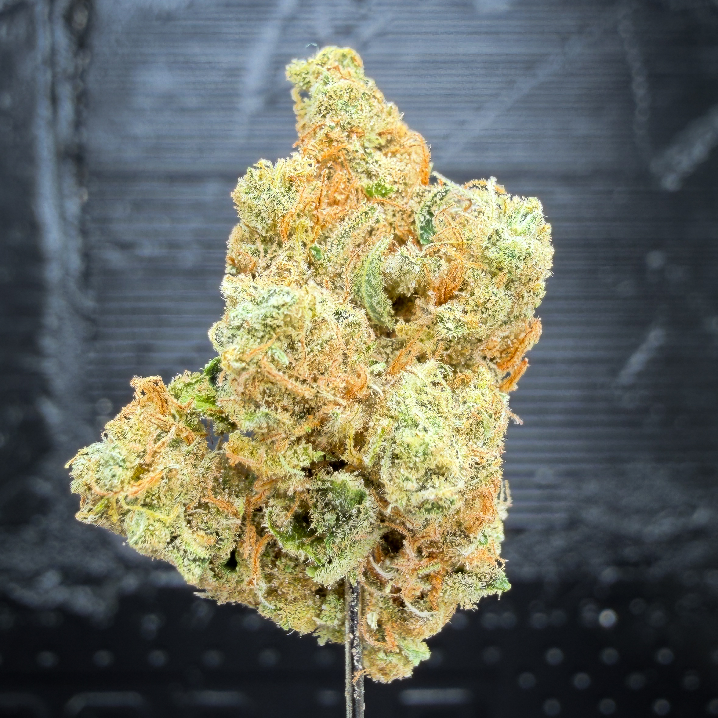 Honey Banana