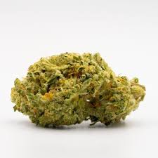Orange x Skunk