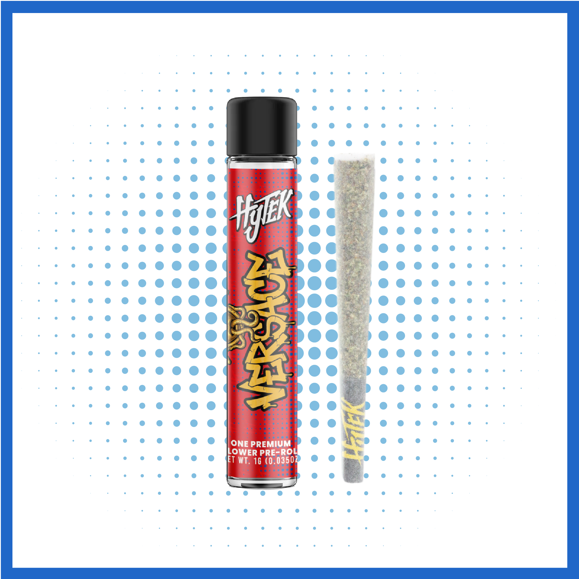 VERSACE | 1g PREROLL