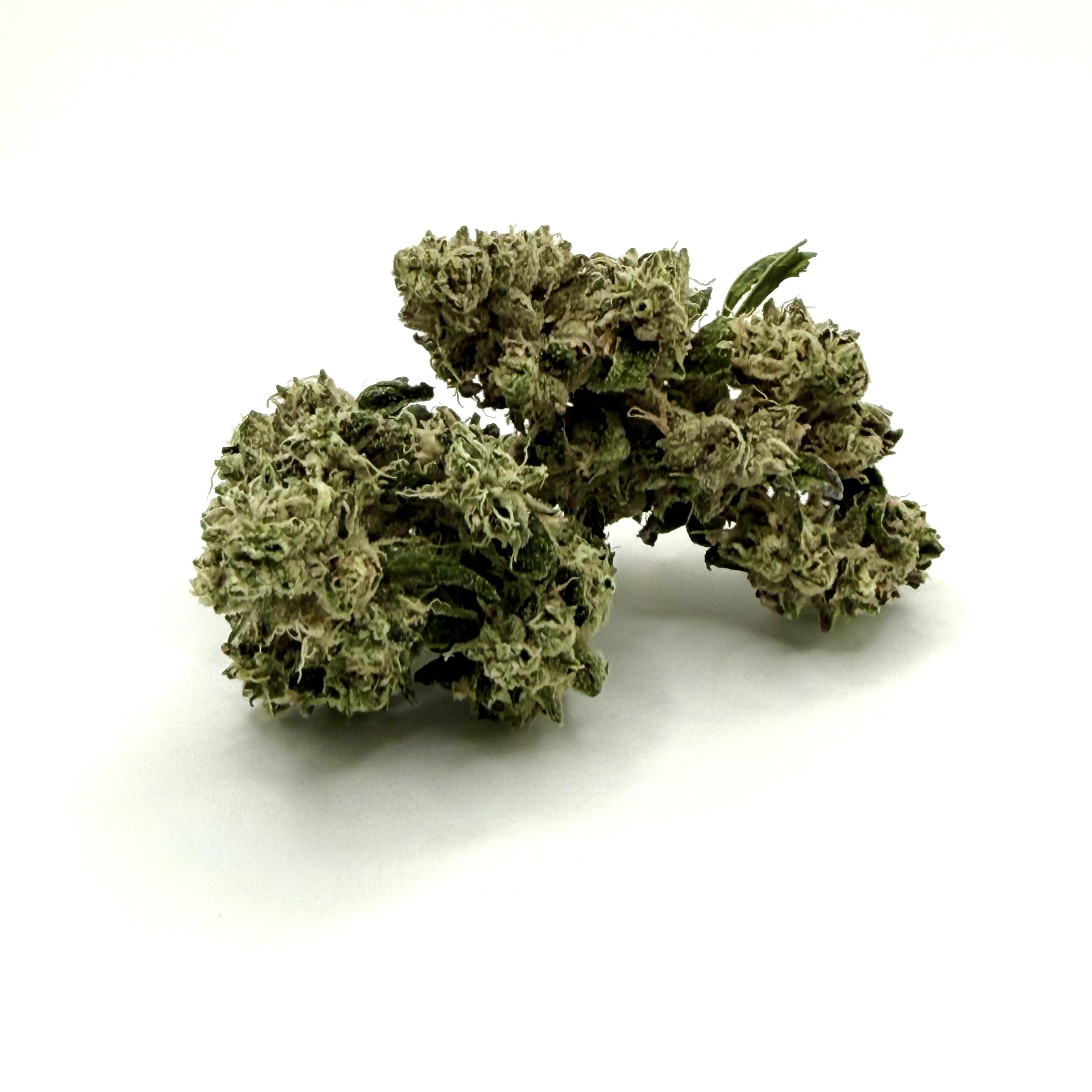 Oregrown: Old Dirty Zastard