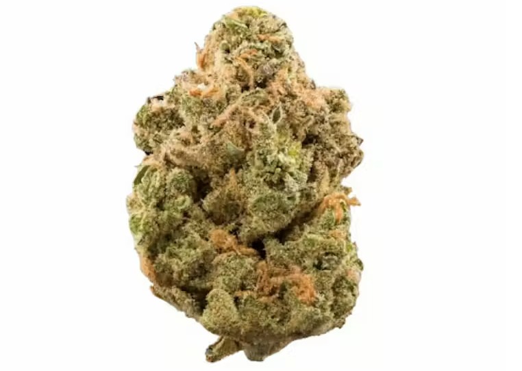 Joint Custody | 28g