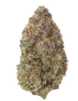 (2) Alternative Solutions: Blueberry Malasada (H)