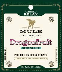 Dragonfruit - 1:1 THC/CBD - 50mg