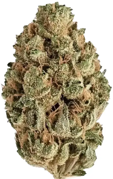 Kiwi Sours | Hybrid | Bulk Flower | Platinum