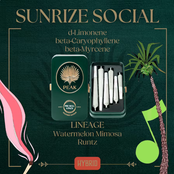 PEAK - SUNRIZE SOCIAL PREMIUM  VARIETY 6PK HYBRID