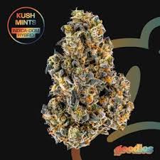 Flower | Kush Mints | 1G