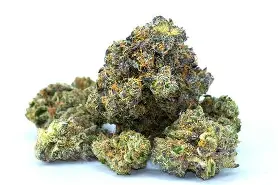 (30957) SLCE 7g Thin Mintz Buds