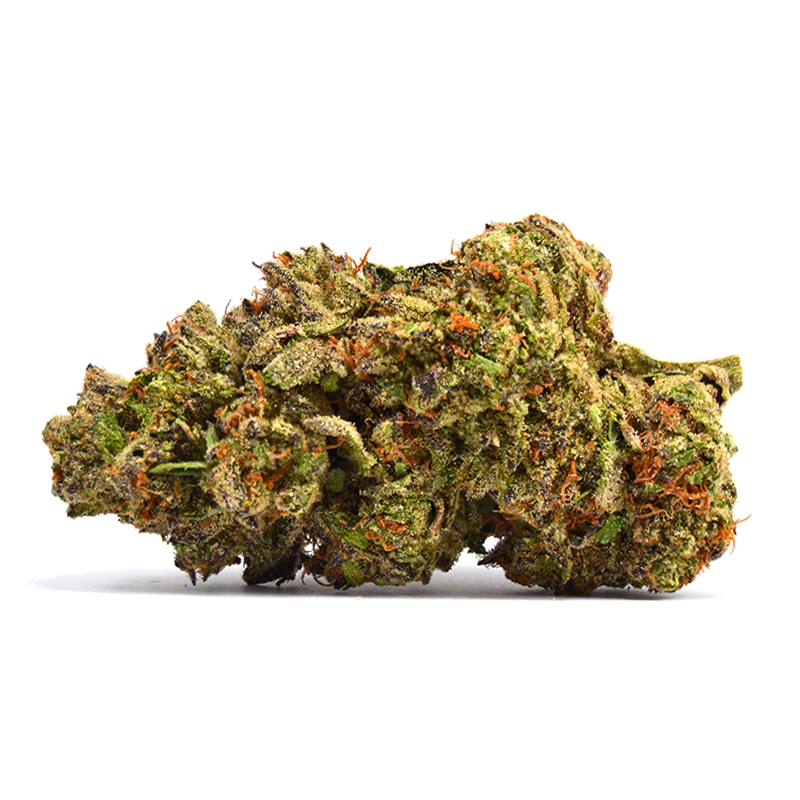 No Bad Days Lemon Cherry Gelato Flower