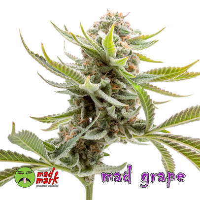 Grape