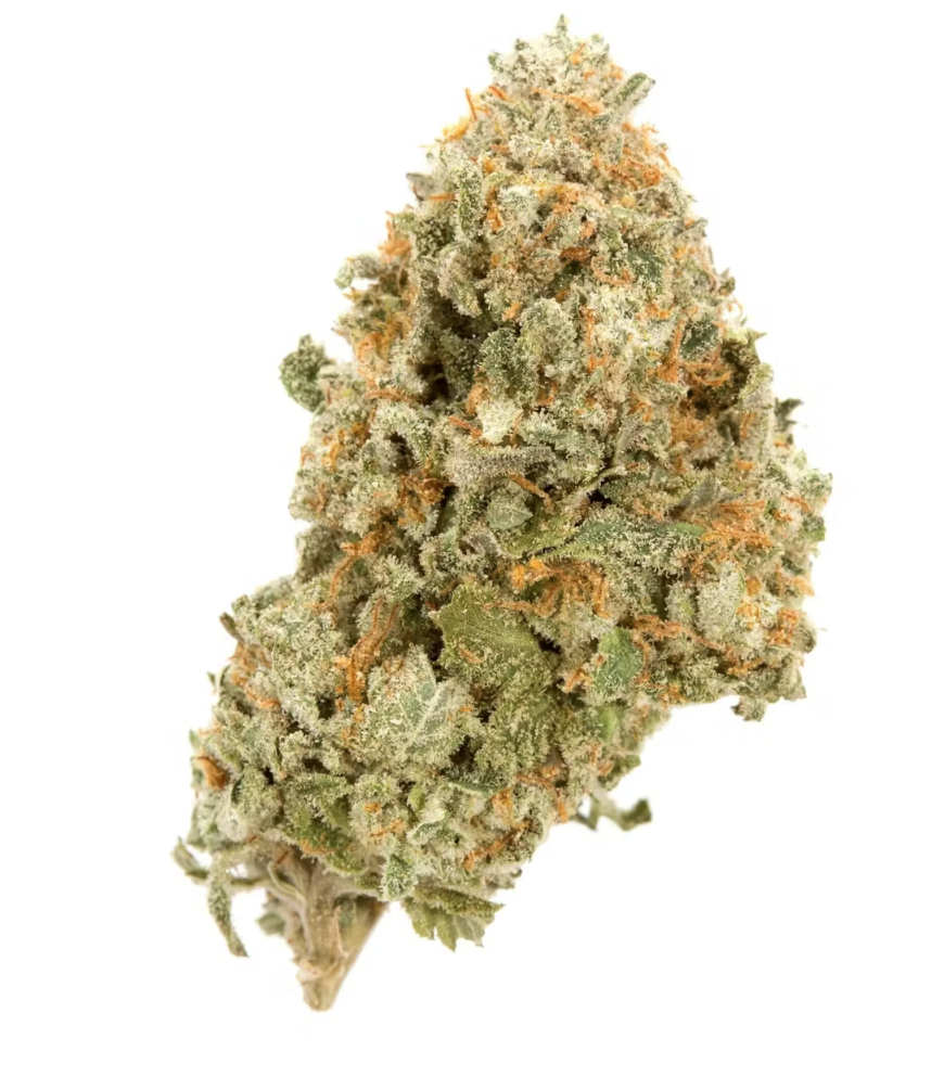Garden City | 28g