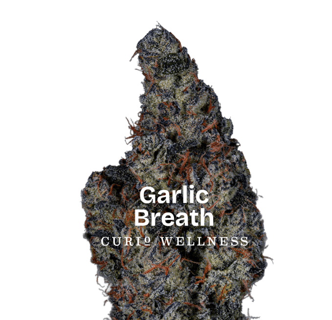 CURIO EXCLUSIVE Garlic Breath 3.5g