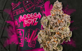 Kush Cookies