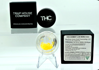 Black Maple | Cured Resin Concentrate | 1g | Indica