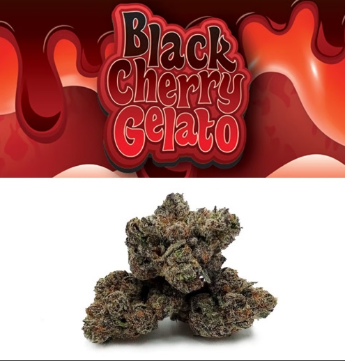 Black Cherry Gelato | 14g
