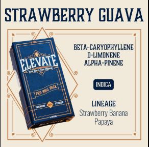 PRE-ROLL PACK STRAWBERRRY GUAVA (I) [10PK] .5G
