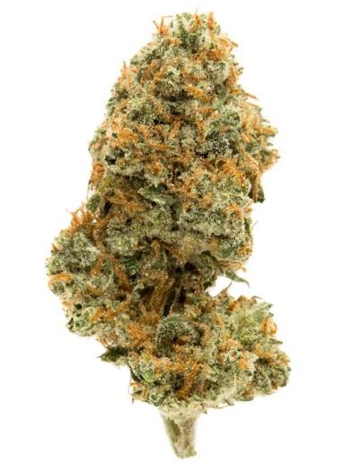 DELI - Ghost Train Haze