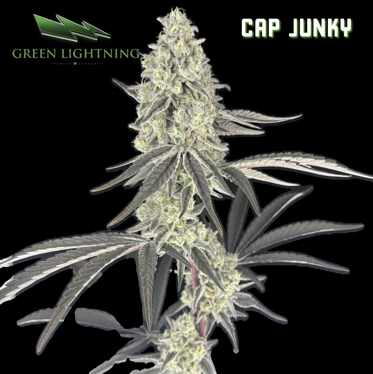 Cap Junky 3.5g