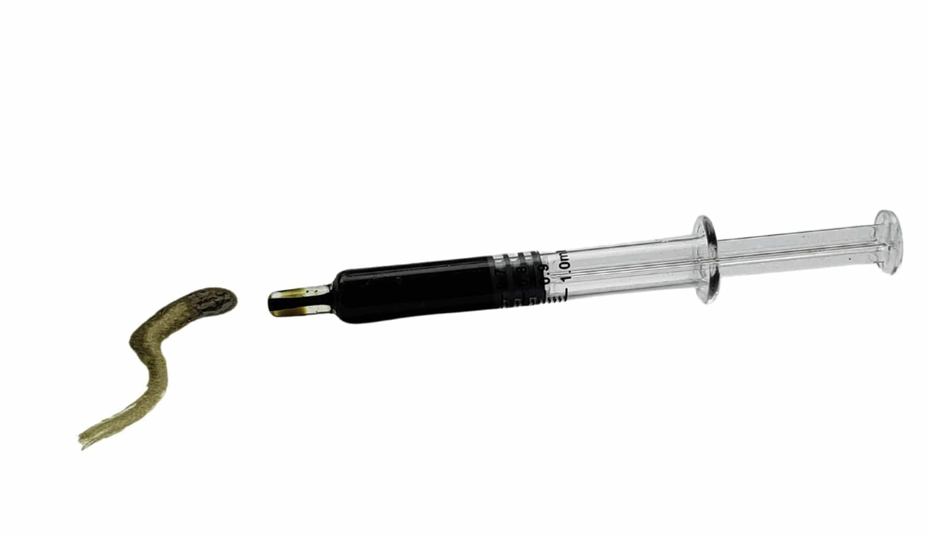 MSO RSO Sativa 1g Syringe