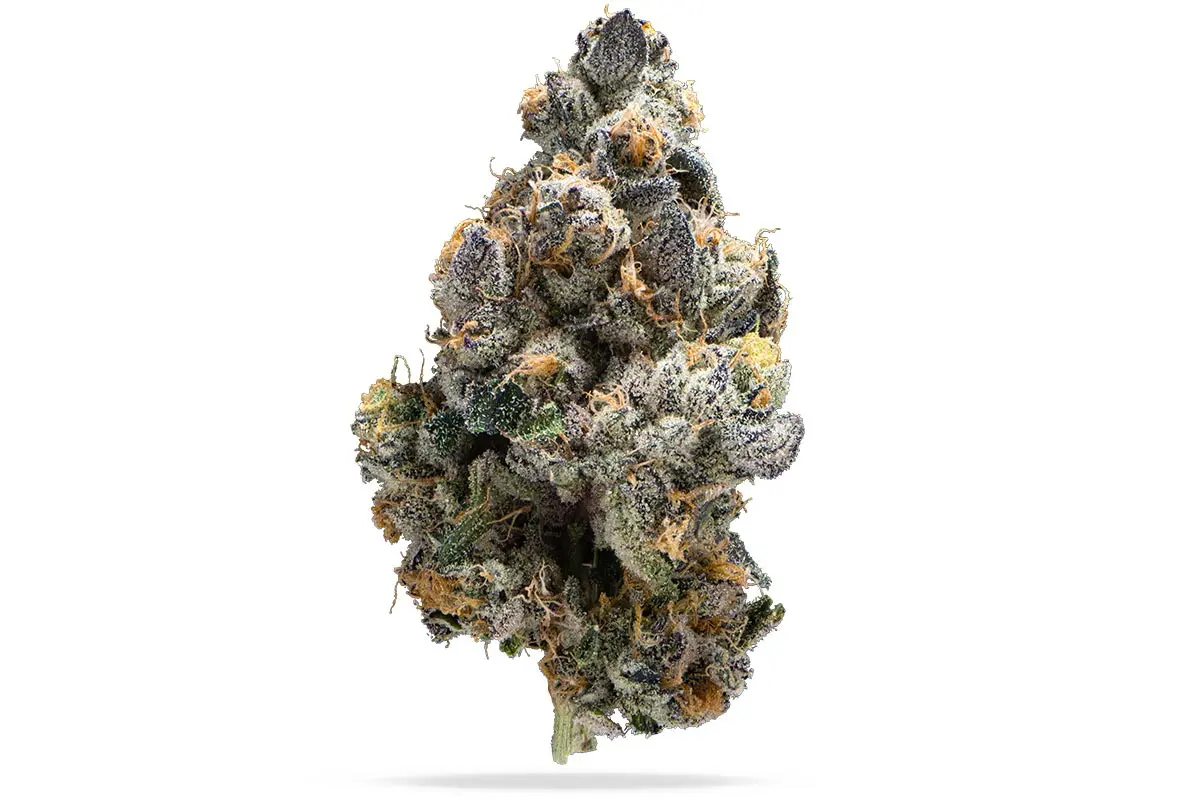 Preferred Gardens | Deuces | Hybrid | Flower