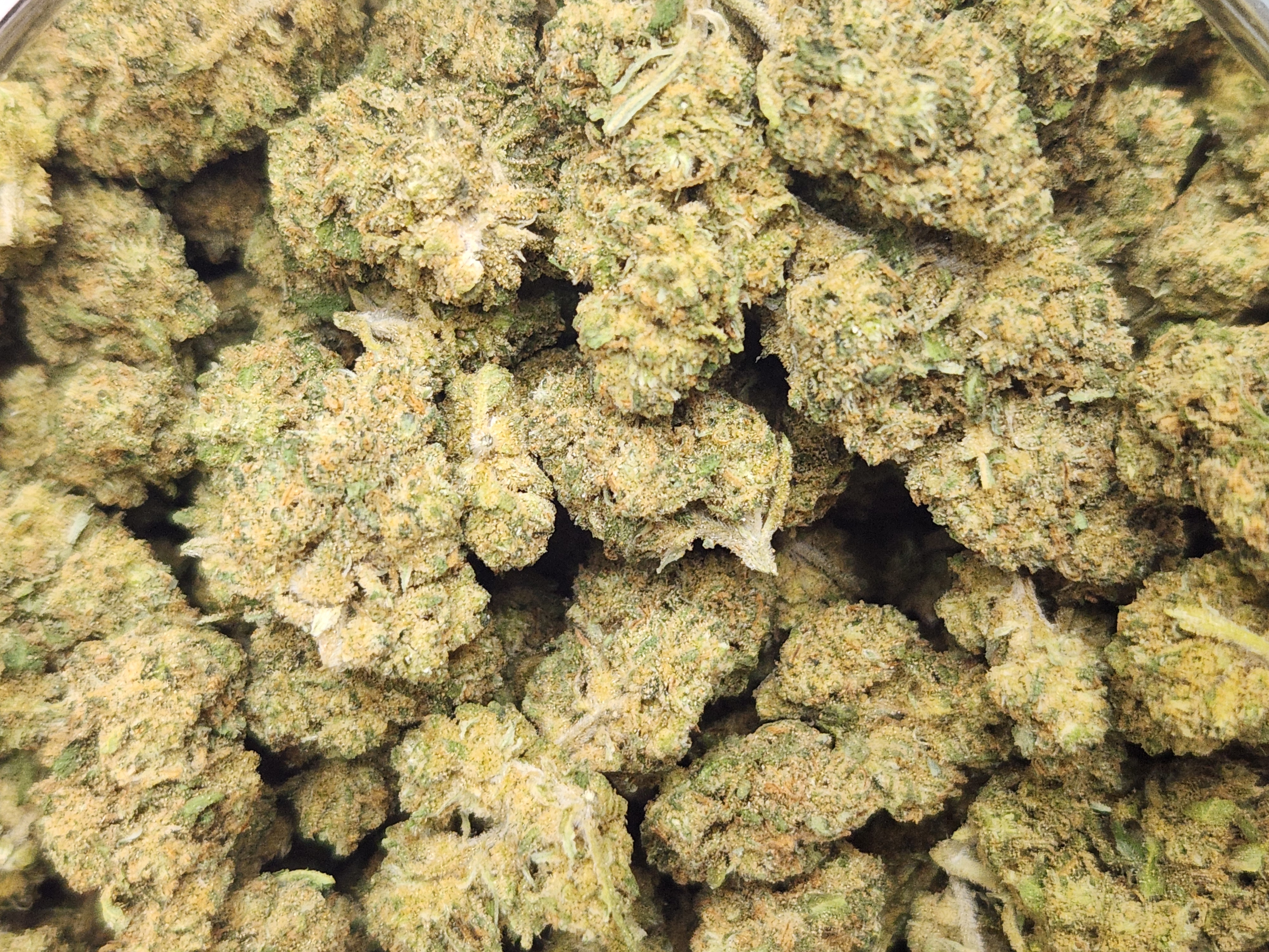 Jack Herer