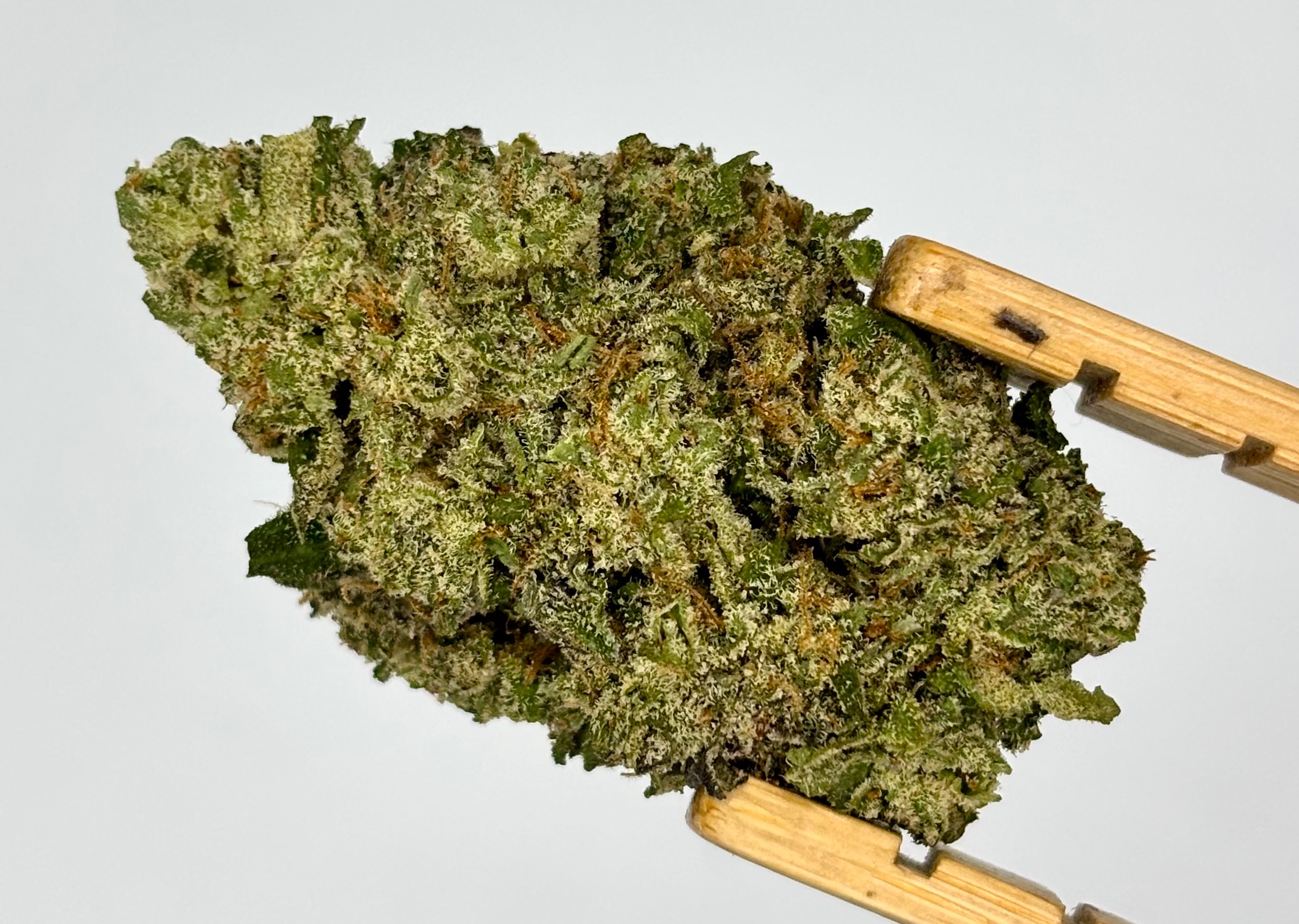 Uplyfted | Sherbstack | Bulk Flower | Platinum Tier