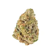 (34842) SLCE 3.5g Runtz Buds