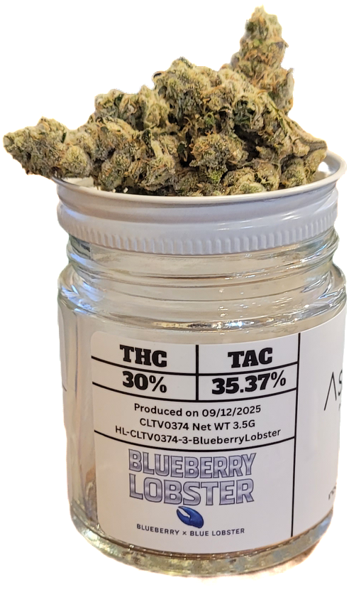 Blueberry Lobster Jar | Astro Labs